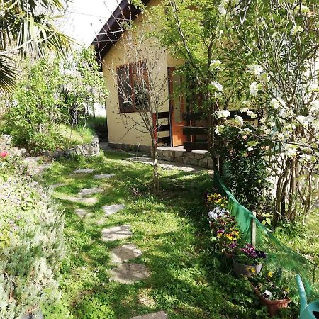 Yellow Villa Синеморец Екстериор снимка
