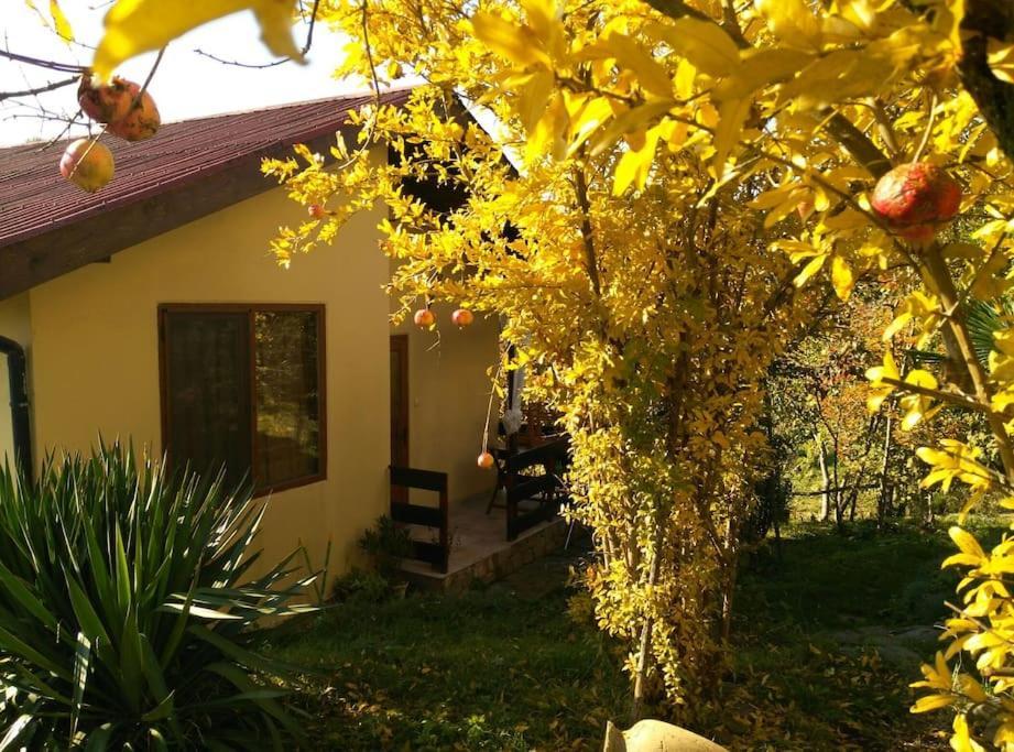 Yellow Villa Синеморец Екстериор снимка