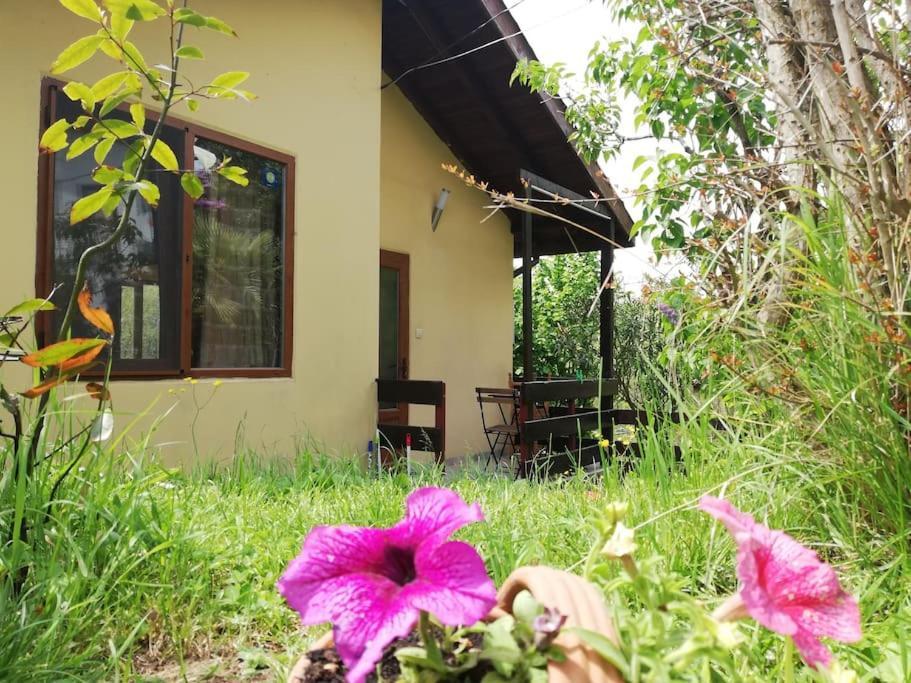 Yellow Villa Синеморец Екстериор снимка
